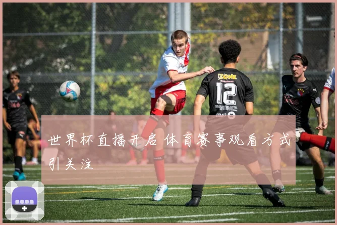 世界杯直播开启 体育赛事观看方式引关注