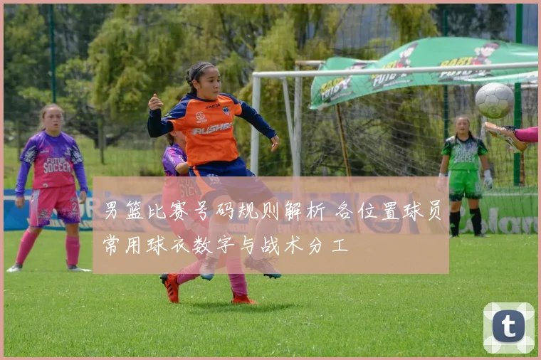 男篮比赛号码规则解析 各位置球员常用球衣数字与战术分工