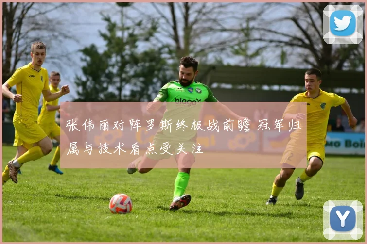 张伟丽对阵罗斯终极战前瞻 冠军归属与技术看点受关注