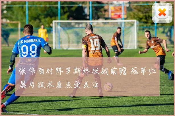 张伟丽对阵罗斯终极战前瞻 冠军归属与技术看点受关注