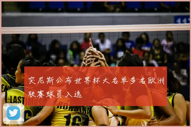 突尼斯公布世界杯大名单多名欧洲联赛球员入选