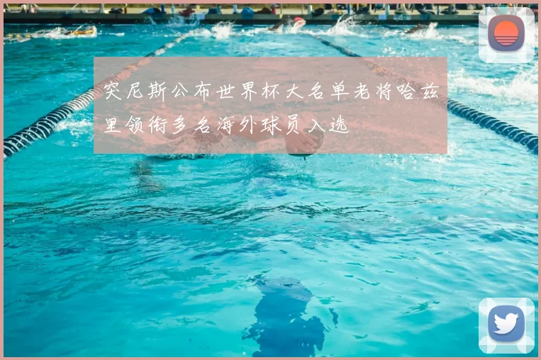 突尼斯公布世界杯大名单老将哈兹里领衔多名海外球员入选