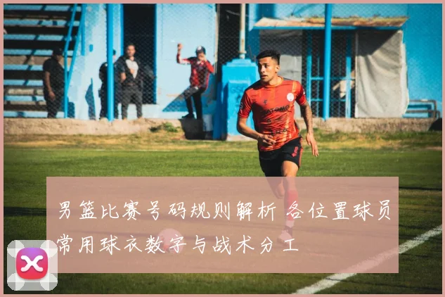 男篮比赛号码规则解析 各位置球员常用球衣数字与战术分工